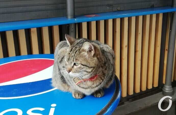 Новый базар15