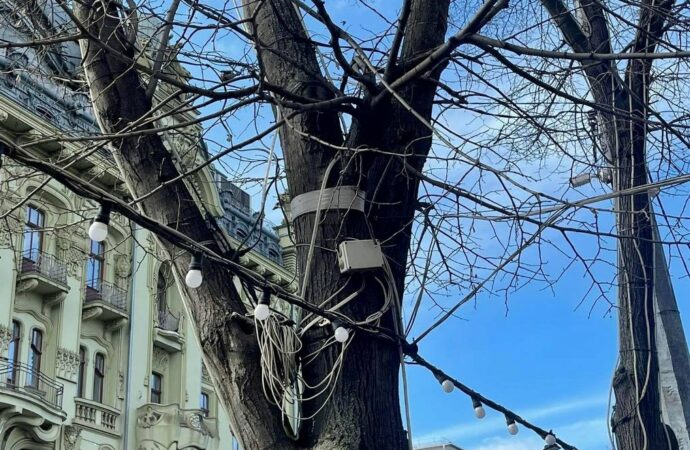 З дерев на Дерибасівській знімуть всю рекламу та ілюмінацію – навіщо? (фото)