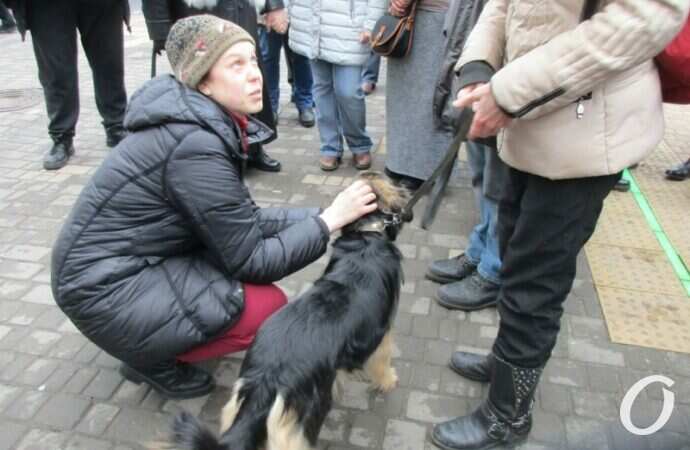 акция в Одессе7