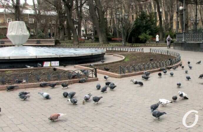 Одесса военная6