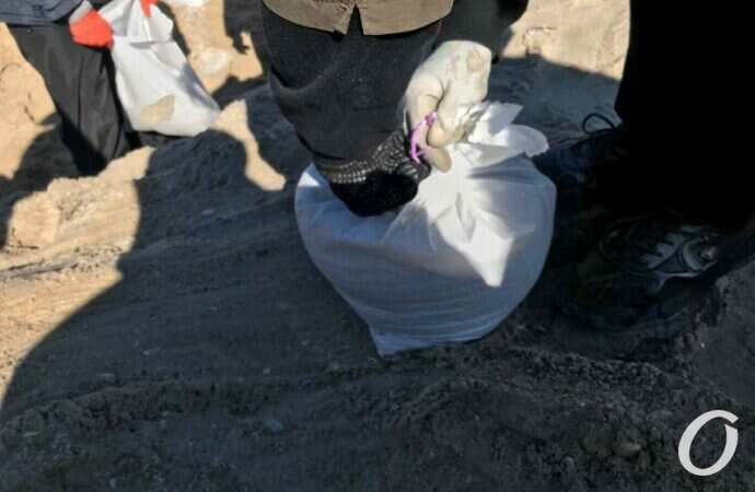 Одесские волонтеры2