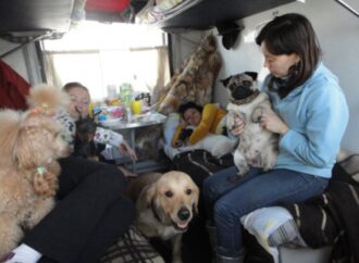 Как эвакуироваться с домашними животными на поезде и как пересечь границу?