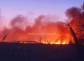 Масштабна пожежа в Одесі: в районі Об’їзної горить очерет (фото)