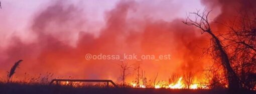 Масштабный пожар в Одессе: в районе Объездной горит камыш (фото)