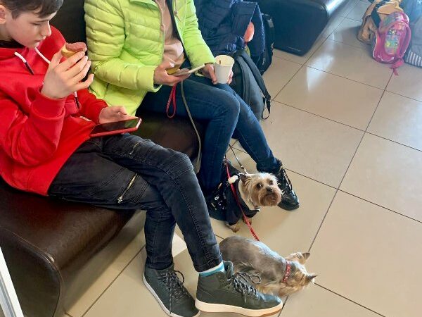 эвакуация детей