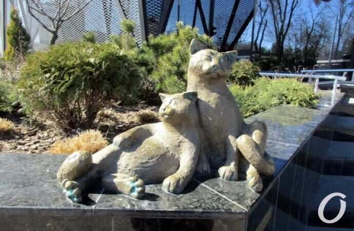 шурры-мурры