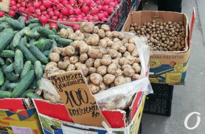 Привоз перед Пасхой11