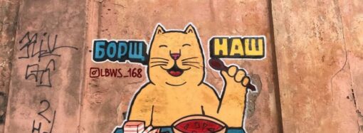 Фотофакт: в Одессе замечен кот-патриот с миской борща