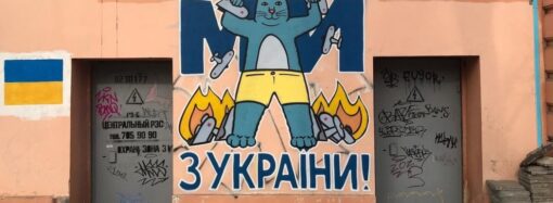 Коты и кошки «нового формата» стали доброй приметой Одессы на военном положении