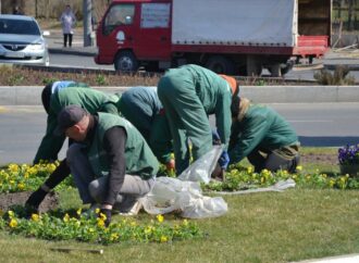 Війна війною, а квіти за розкладом: як працюють одеські озеленювачі (фото)