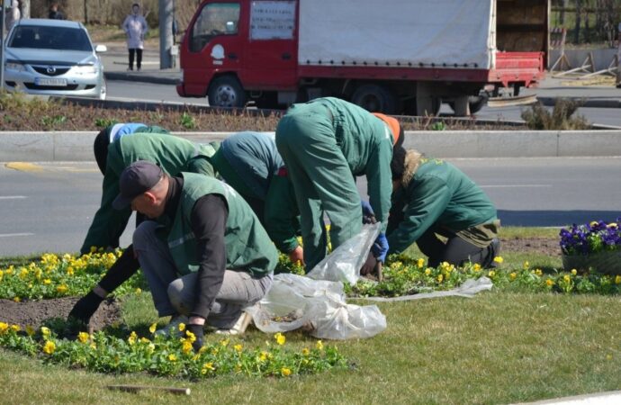 Война войной, а цветы по расписанию: как трудятся одесские озеленители (фото)