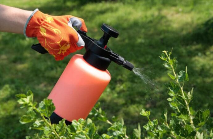 Засоби захисту рослин від шкідників
