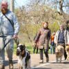 В Одессе объявили собачью «мобилизацию»: домашние собаки могут стать патрульными