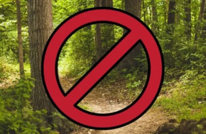 В Одесской области запретили посещать леса и ездить туда
