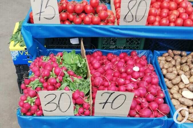 помидоры, перец