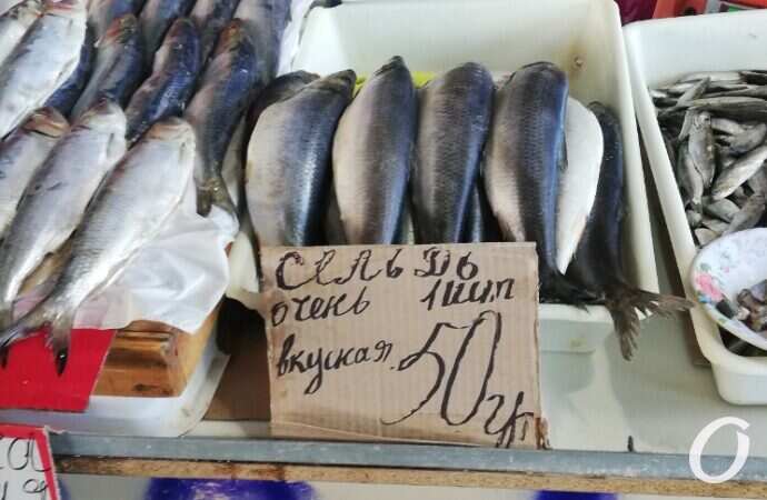 Сельдь, Привоз, цена