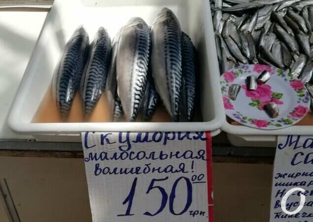 Скумбрия, цена