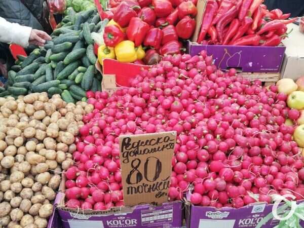 Привоз в мае, овощи