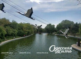 Військовий травень в Одесі: будній день у парку Перемоги (фоторепортаж)