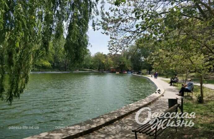 отдых в парке Победы