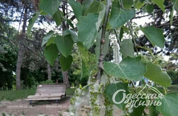 Парк Победы, пустая скамейка