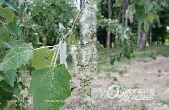 Парк Победы весной