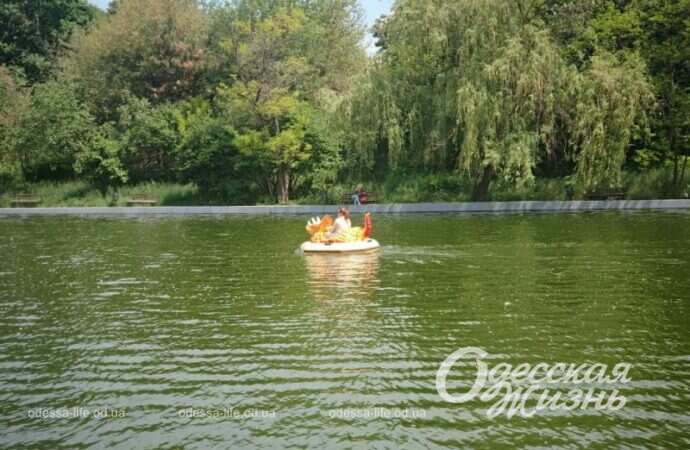 Парк Победы, пруд