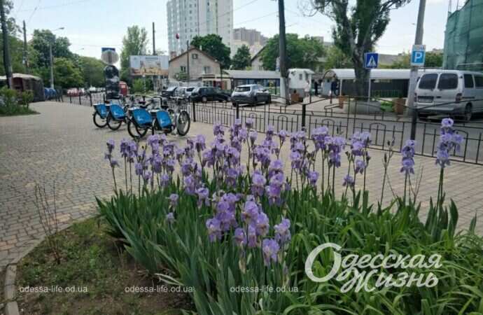 Парк Победы а мае 2022