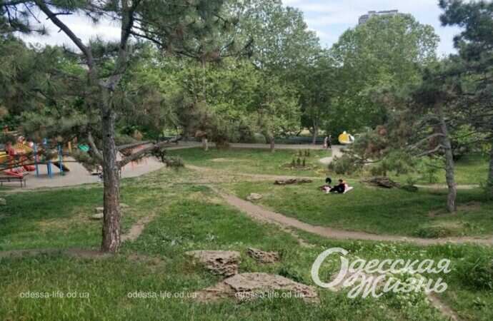 в парке Победы