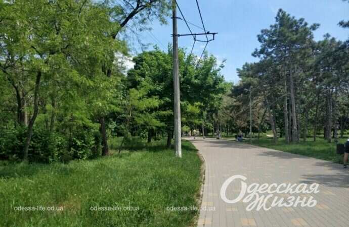 Парк Победы, дорога