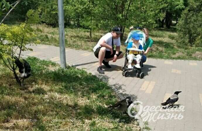 Парк Победы, прогулка