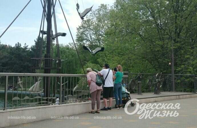 Парк Победы, посетители