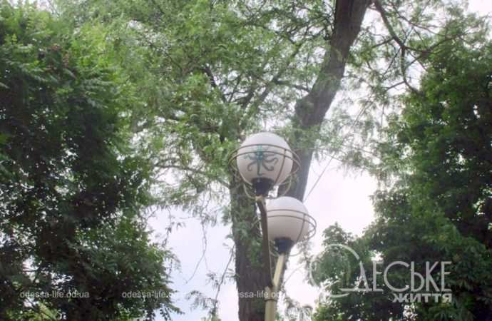 Одесский сквер Мечникова, фонарь