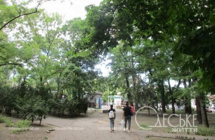 Одесский сквер Мечникова, дорожка