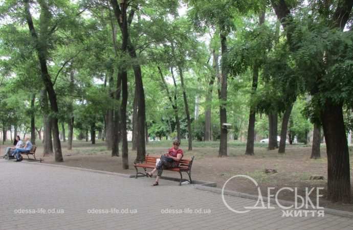 Одесский сквер Мечникова, скамейки