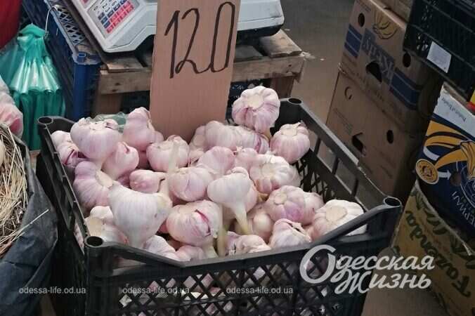 На Привозе, чеснок