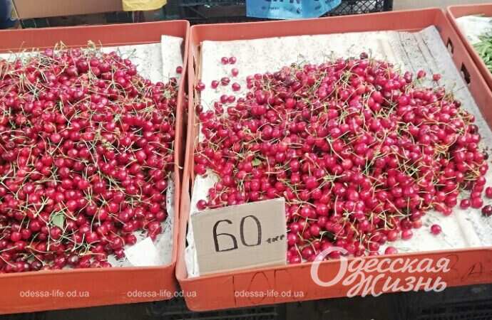 На Привозе, цена на черешню