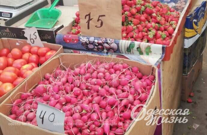 На Привозе, редис