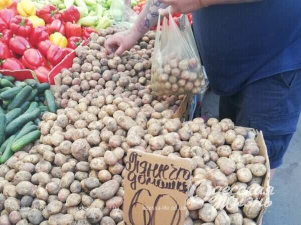 На Привозе, картошка