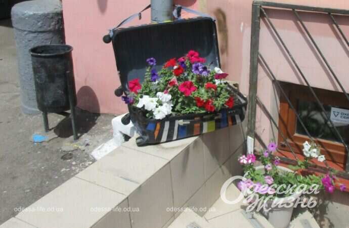 Май в Одессе, цветы10
