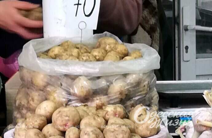 молодая картошка