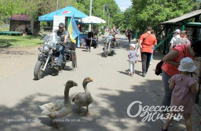 праздник в зоопарке