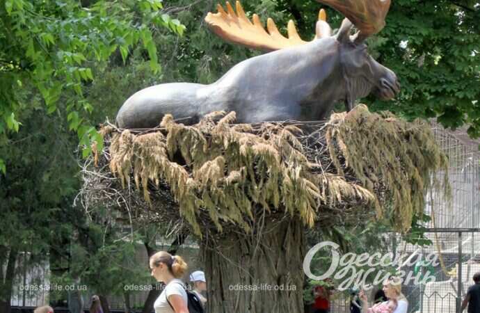 праздник в зоопарке