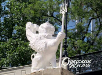 В Одессе появился новый грифон-талисман – где искать? (фото)