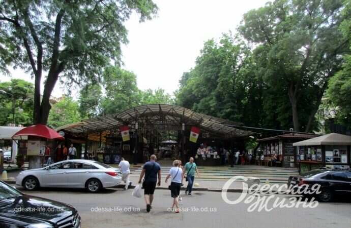 Александровский проспект, лето 2022-11