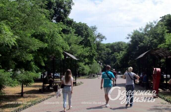 Александровский проспект, лето 2022-12