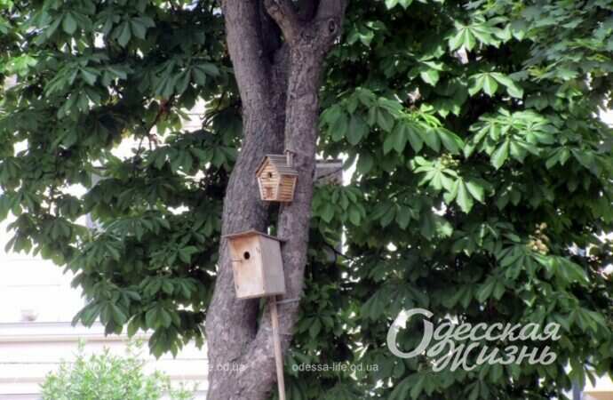 Александровский проспект, лето 2022-13