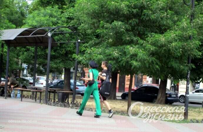 Александровский проспект, лето 2022-14