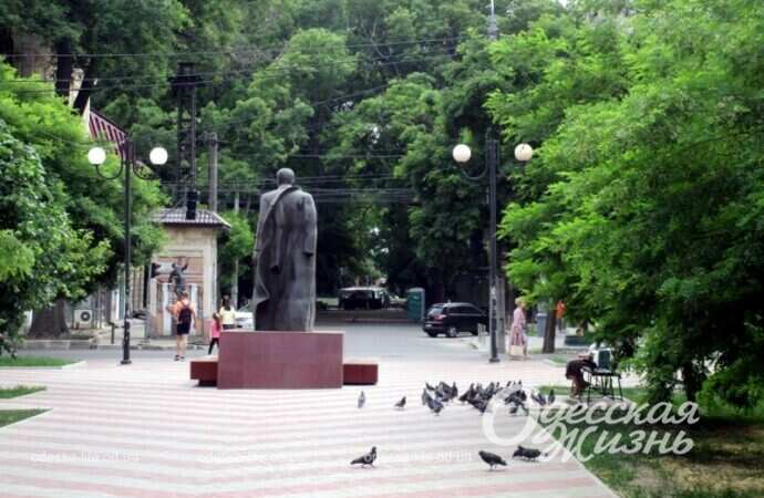 Александровский проспект, лето 2022-16