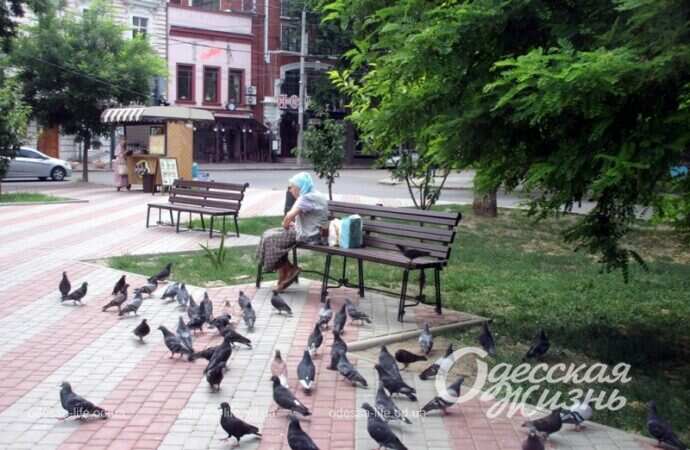 Александровский проспект, лето 2022-17